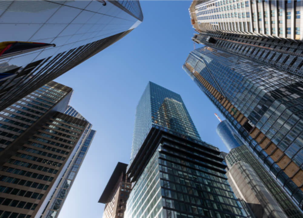 Long-standing trust and network